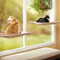 Lettino per finestra per gatti