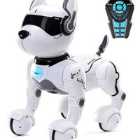Cucciolo Robotico